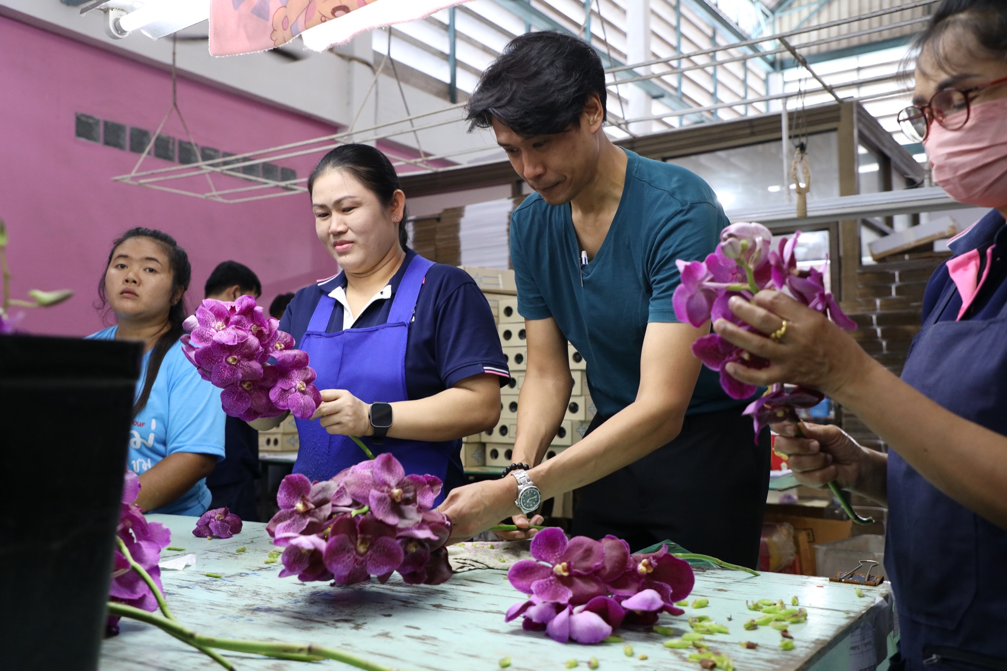 Orchidistry team hand-selecting orchids at our plantation