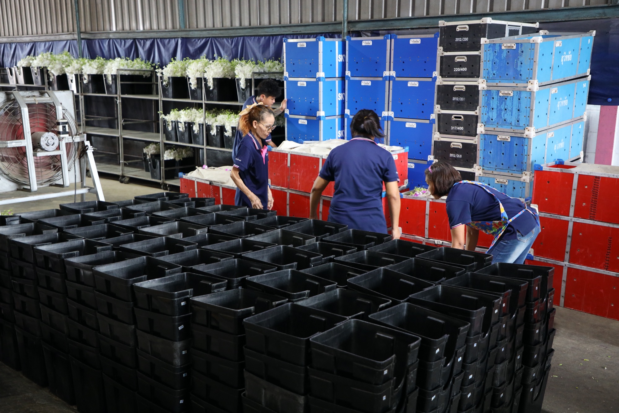 Orchidistry logistics warehouse ready for delivery